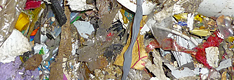 Domestic Waste and Municipal Solid Waste (MSW)